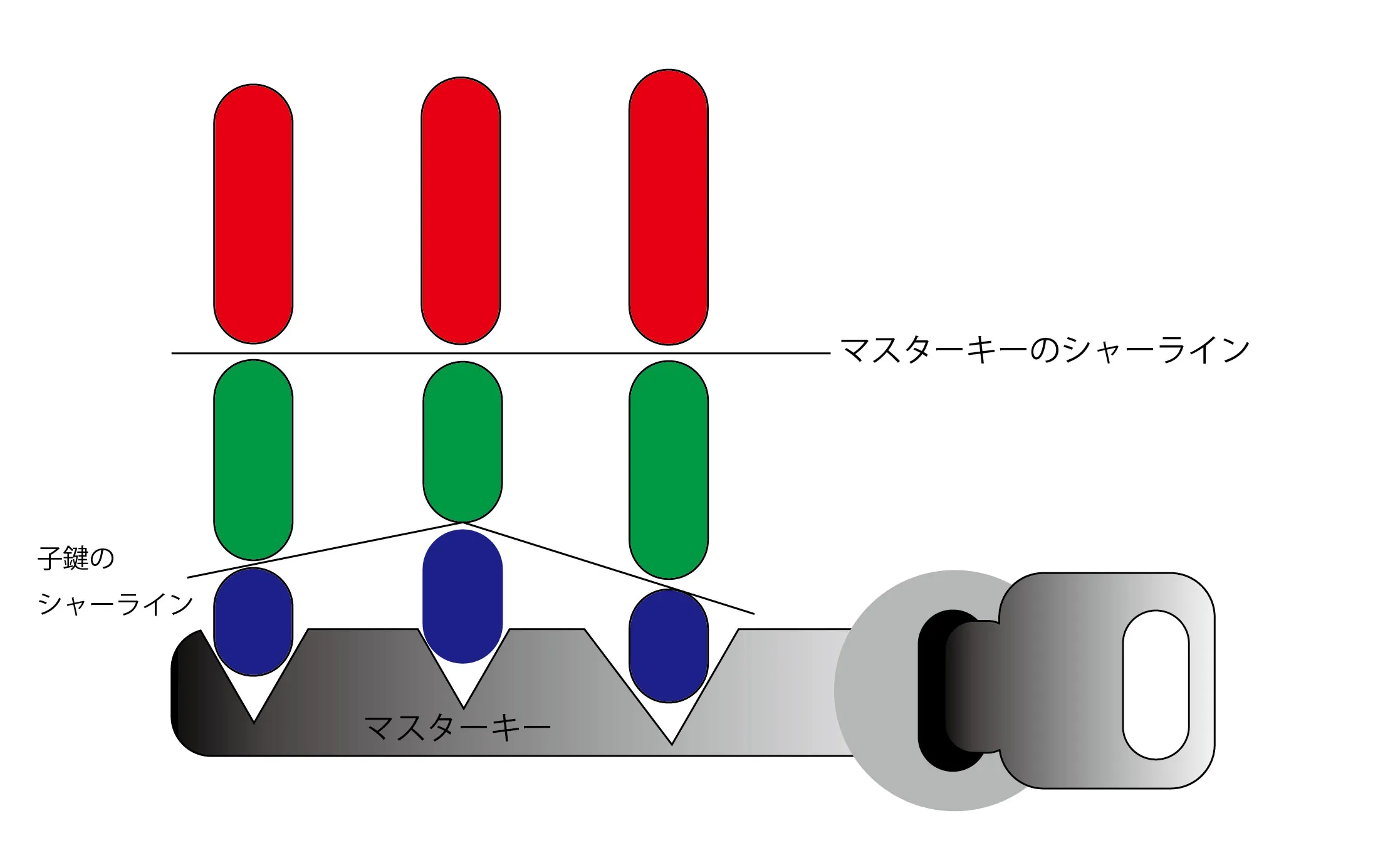 活動歴および当時の関連ビジュアル記録